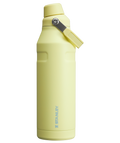 IceFlow™ Bottle with Fast Flow Lid D084A