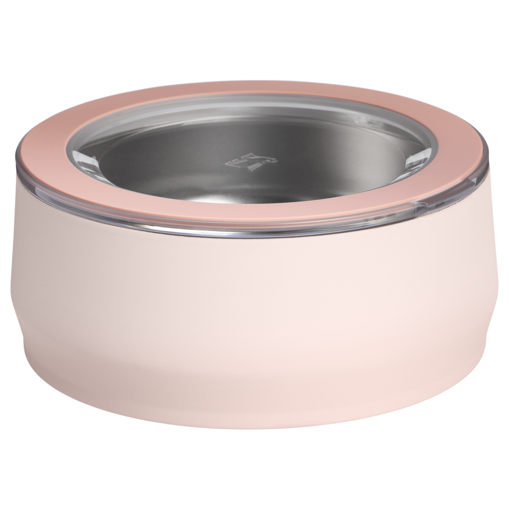 The Stanley Pet Bowl | Stanley Create D289X