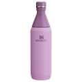All Day Slim Bottle | Stanley Create D292A